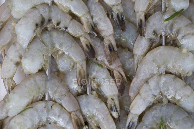 Vue rapprochée des brochettes de crevettes crues — Photo de stock