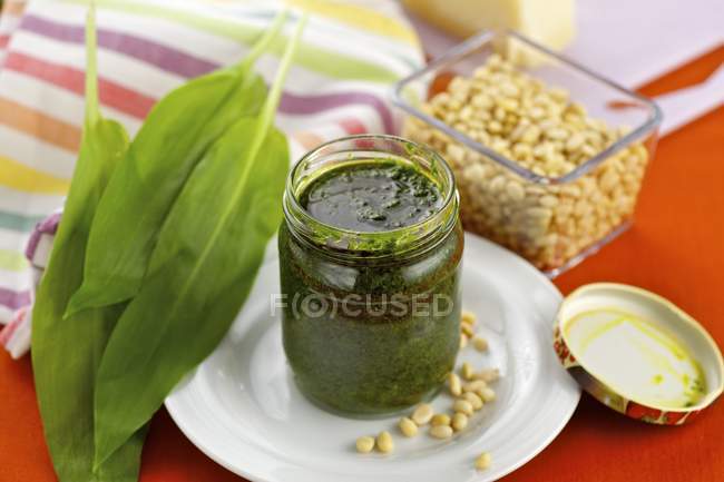 Pesto à l'ail sauvage — Photo de stock