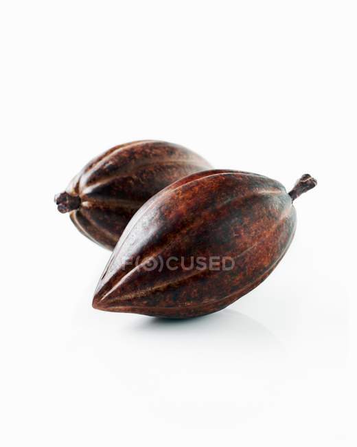Vainas de cacao fresco - foto de stock