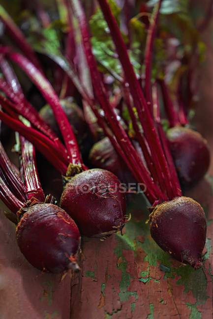 Fresh Beetroot with stalks — Stock Photo