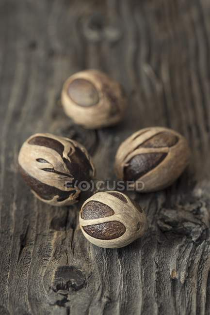 Nutmegs in dried flowers — Stock Photo
