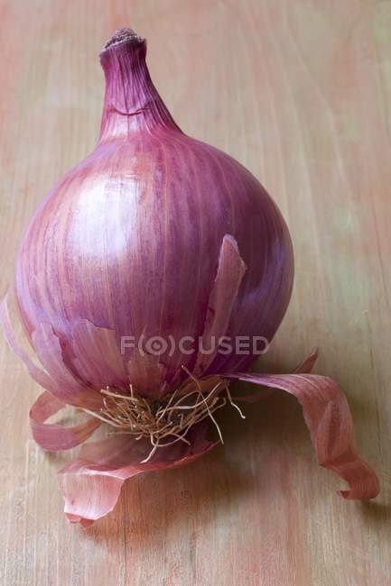Raw red onion — Stock Photo