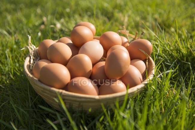 Ovos de galinha marrom na cesta — Fotografia de Stock