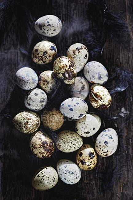 Tas d'œufs de caille — Photo de stock