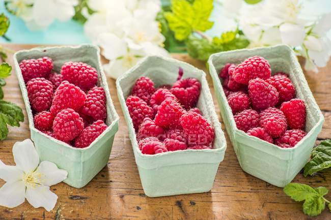 Fresh raspberries in cardboard punnets — Stock Photo