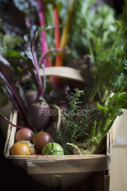 Verduras frescas en una cesta de madera - foto de stock
