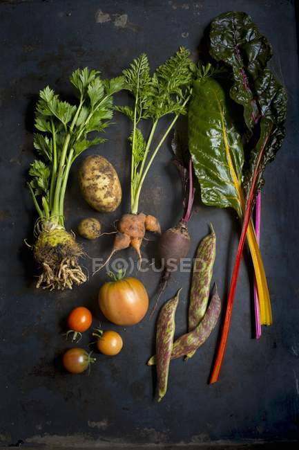 Vista superior de vários verduras frescas em uma superfície escura — Fotografia de Stock