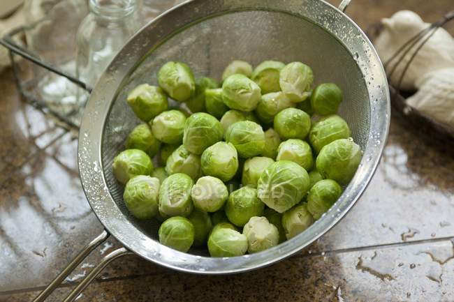 Washed Brussels sprouts — Stock Photo
