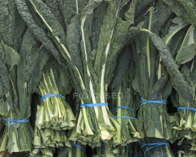Bundles of black kale leaves — Stock Photo