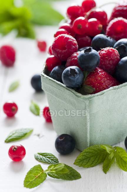 Fresh summer berries and mint leaves — Stock Photo
