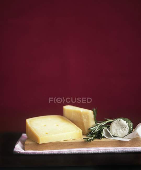 Различные сорта сыра — стоковое фото