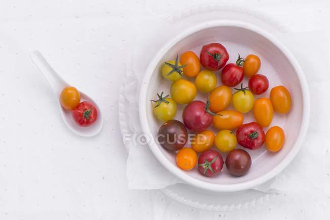 Verschiedene bunte Tomaten — Stockfoto