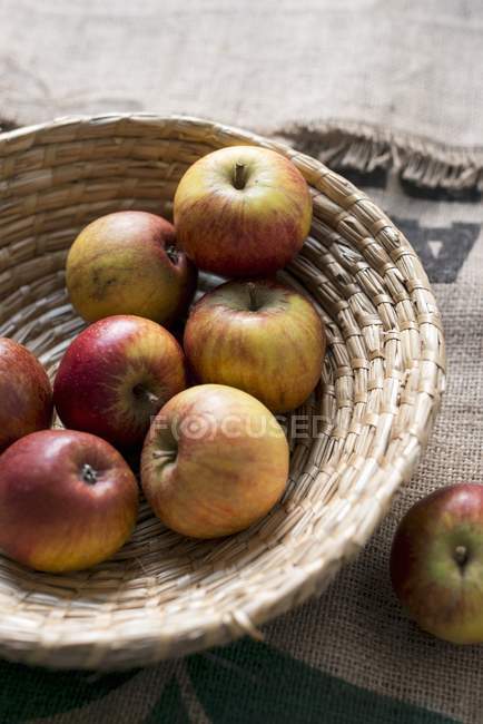 Pommes rouges et jaunes — Photo de stock