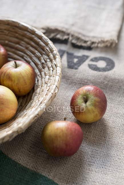 Яблоки и джутовый мешок — стоковое фото