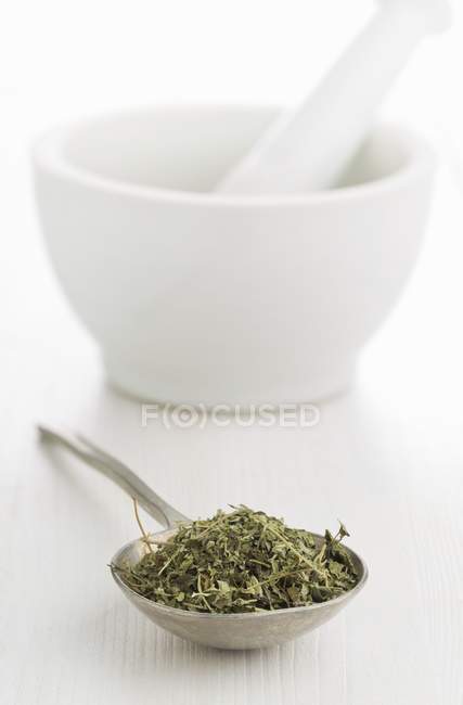 Dried oregano on a spoon in front of a white mortar — Stock Photo