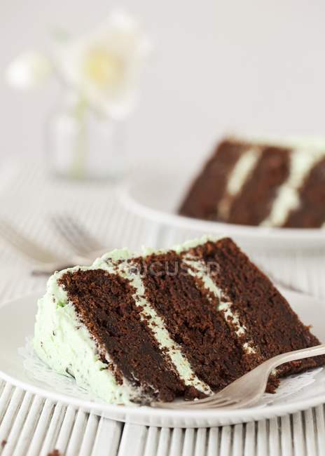 Mint choc-chip layer cake — Stock Photo