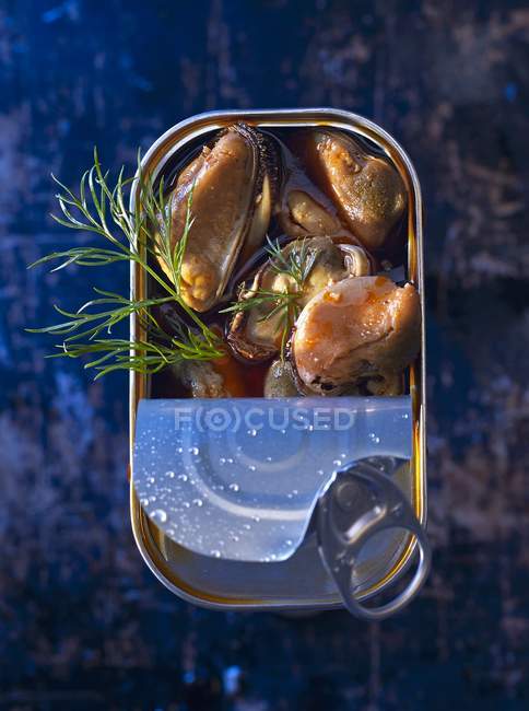 Ussels marinated with dill — Stock Photo