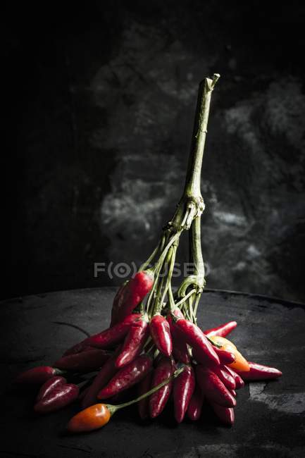 Sprig of red chilli peppers — Stock Photo