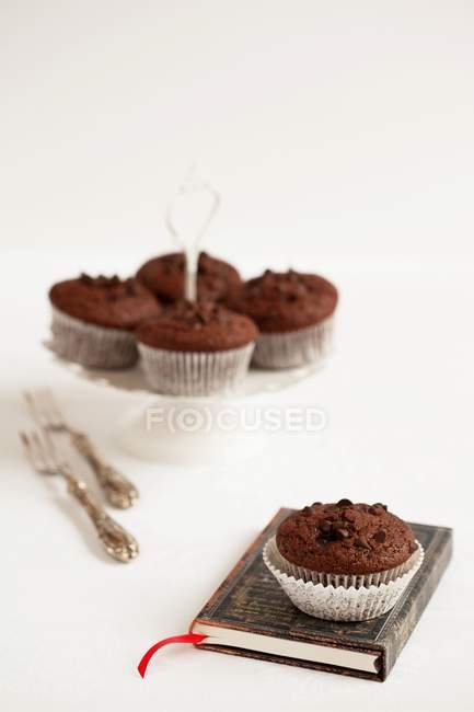 Magdalenas de chocolate con chispas de chocolate - foto de stock