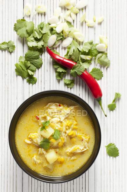 Mulligatawny - суп с курицей и овощами на белой поверхности — стоковое фото