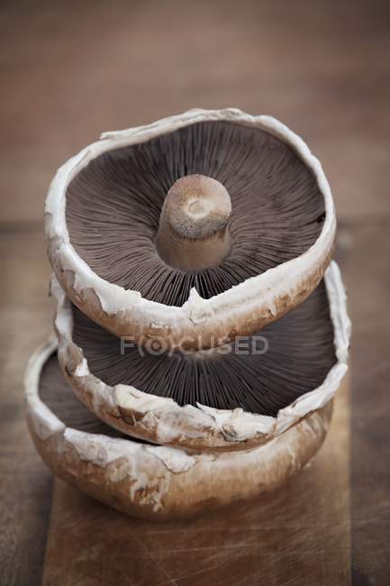 Стопка свежих грибов — стоковое фото