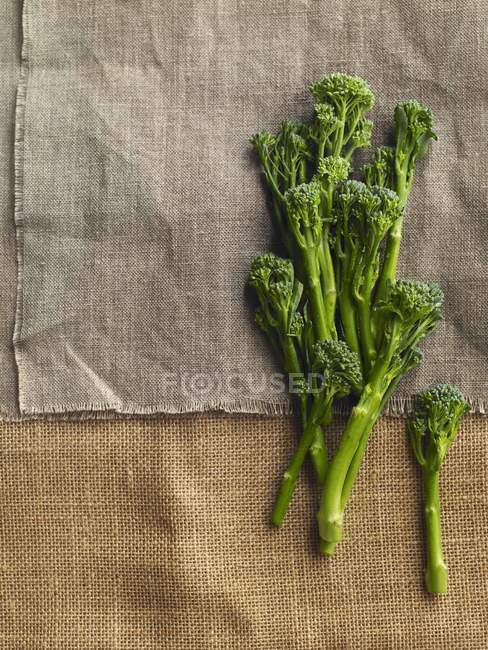 Cime di broccoli selvatici — Foto stock
