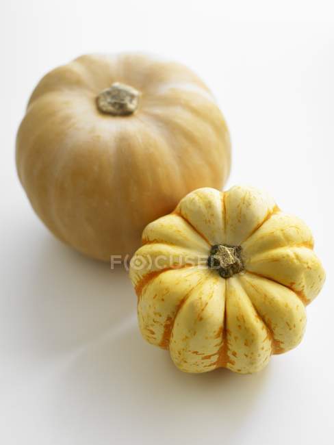 Two raw pumpkins — Stock Photo