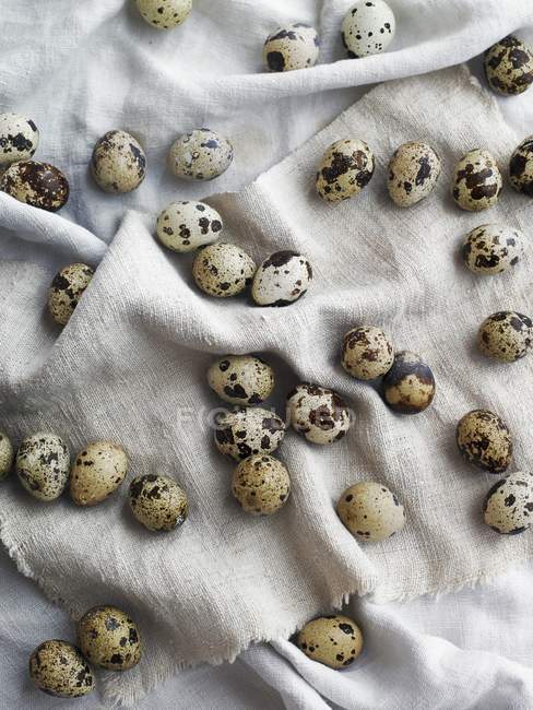 Ovos de codorna em tecido de linho — Fotografia de Stock