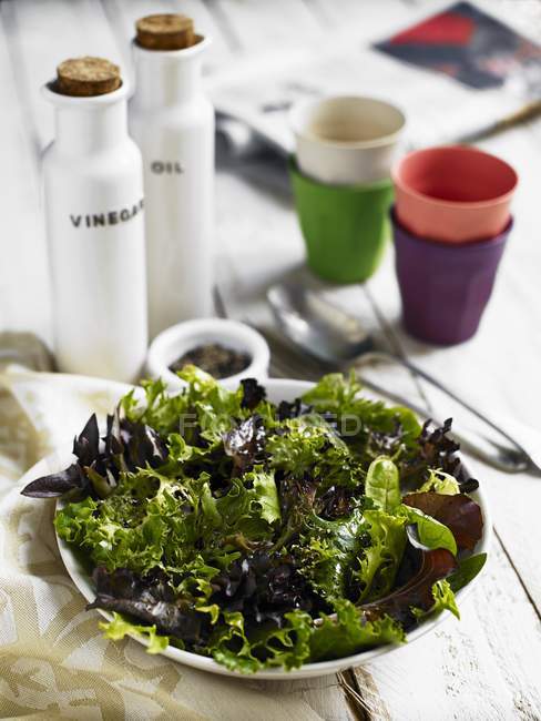 Salade verte aux feuilles de laitue — Photo de stock
