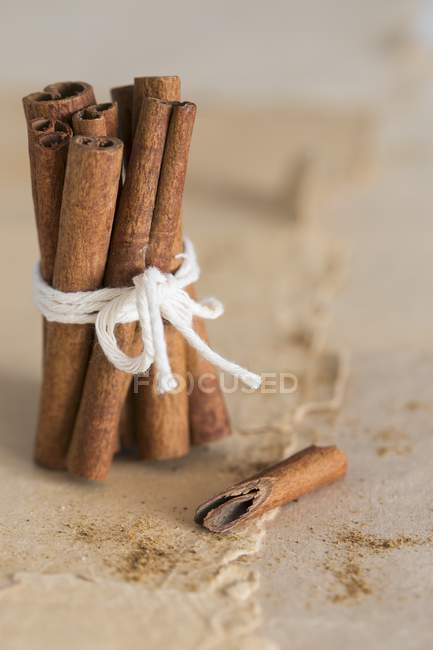 Cinnamon sticks tied together — Stock Photo