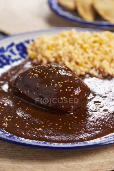 Closeup view of chicken with chocolate sauce and sesame — Stock Photo