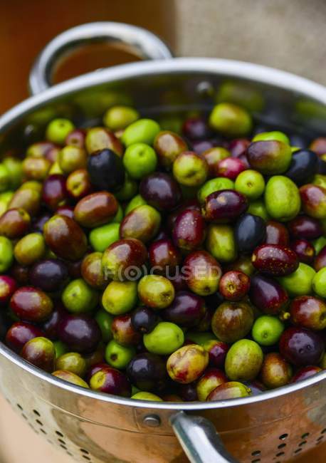 Свежие оливки в дуршлаге — стоковое фото