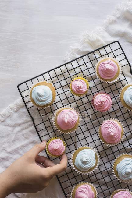 Cupcakes mit rosa Zuckerguss — Stockfoto