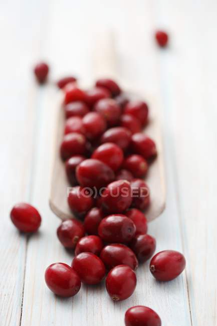 Cranberries com colher de madeira — Fotografia de Stock
