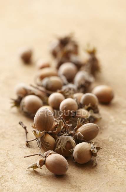 Heap of Whole hazelnuts — Stock Photo