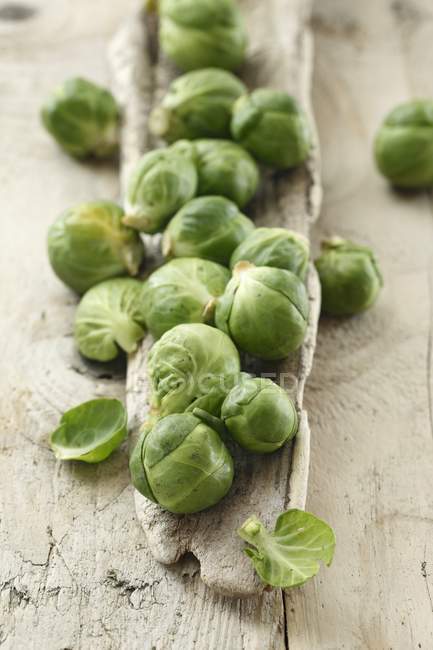 Fresh Brussels Sprouts — Stock Photo