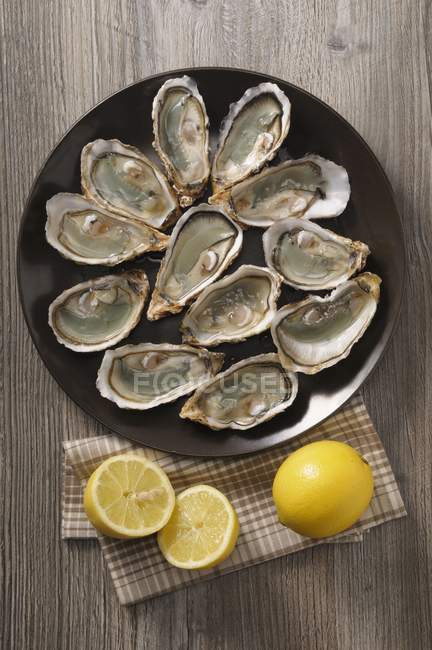 Fresh oysters and lemons — Stock Photo