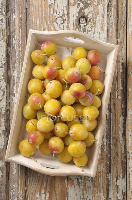Prugne gialle fresche — Foto stock