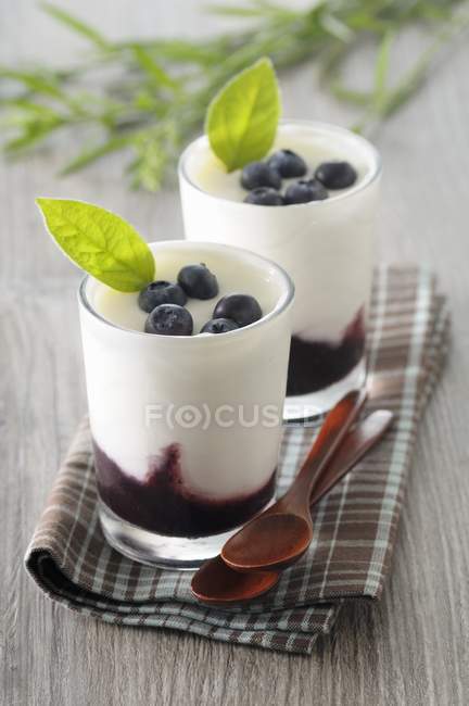 Joghurtcreme mit Blaubeeren — Stockfoto