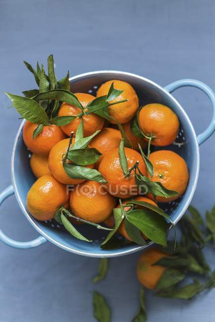 Mandarinas maduras con hojas - foto de stock