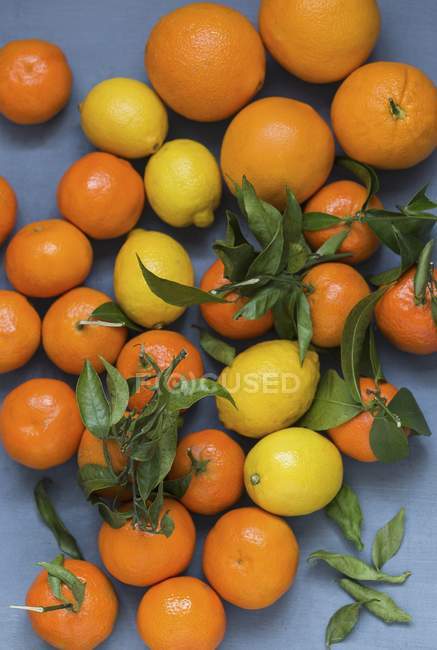 Цитрусові плоди на синій поверхні — стокове фото