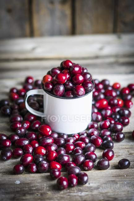 Fresh cranberries in mug — Stock Photo