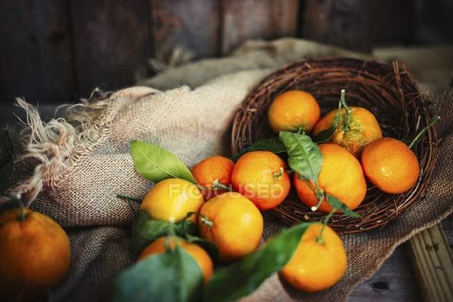 Mandarinas con hojas en una canasta - foto de stock