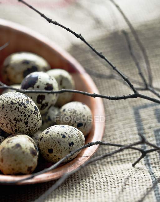 Huevos de codorniz en tazón de madera - foto de stock