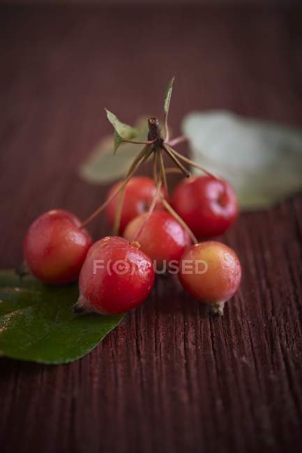 Crab apples with leaves — Stock Photo