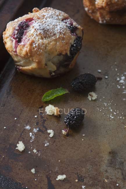 Mulberry muffins with icing sugar — Stock Photo