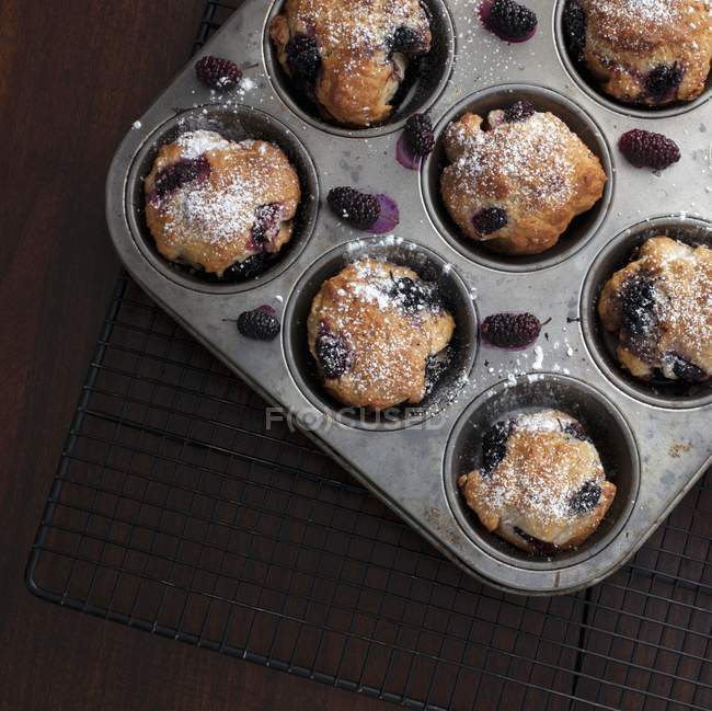 Muffins aux mûres fraîchement cuits — Photo de stock