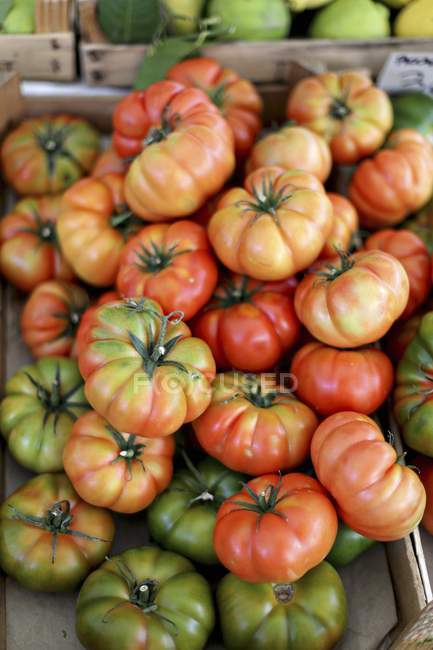 Costoluto beefsteak tomatoes — Stock Photo