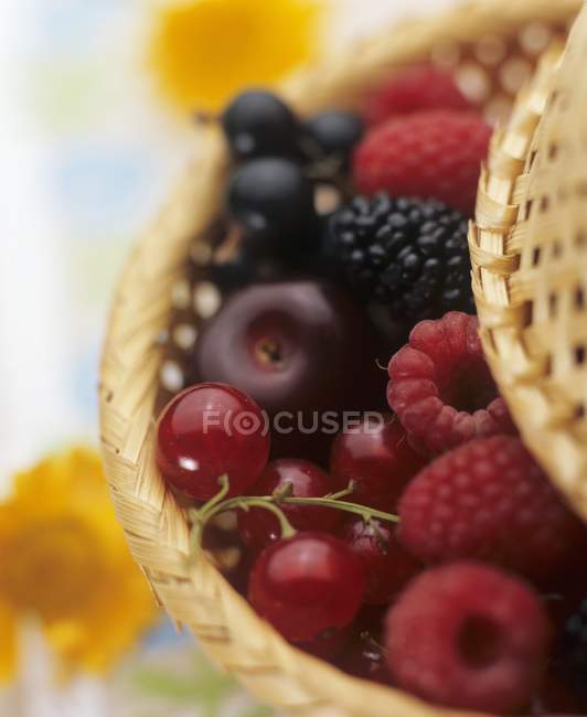 Корзина свежих ягод и вишни — стоковое фото