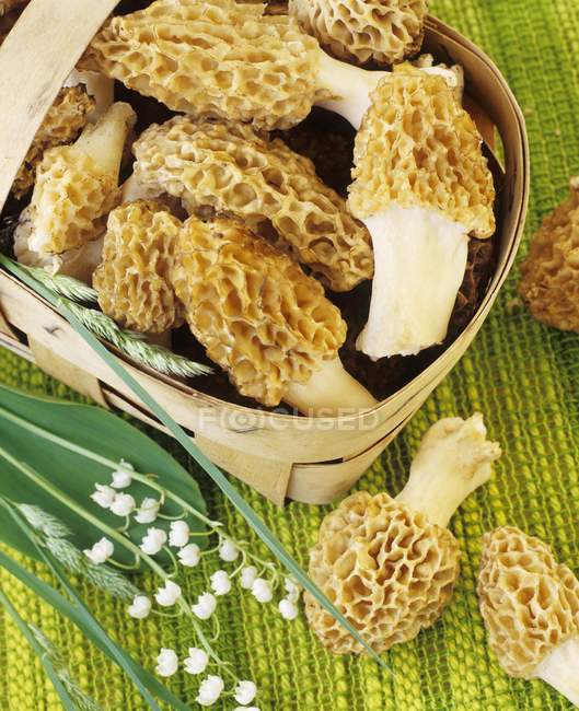 Closeup view of Morels in and beside basket and flowers — Stock Photo